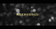 梅里亚真假宠物疫苗