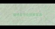 猫咪会不会损害家具