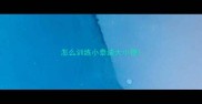 怎么训练小泰迪大小便
