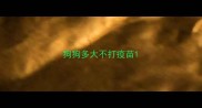 狗狗多大不打疫苗
