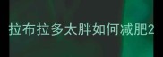 拉布拉多太胖如何减肥