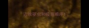 边牧驱虫和疫苗顺序