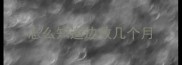 怎么知道边牧几个月