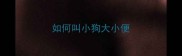 如何叫小狗大小便
