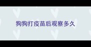 狗狗打疫苗后观察多久