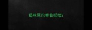猫咪尾巴垂着摇摆