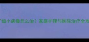 两个月大的幼犬得了细小病毒怎么治家庭护理与医院治疗全攻略附用药指南