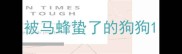 被马蜂蛰了的狗狗