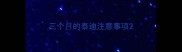 三个月的泰迪注意事项