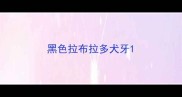 黑色拉布拉多犬牙