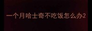 一个月哈士奇不吃饭怎么办