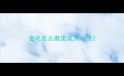 金毛怎么教定点大小便