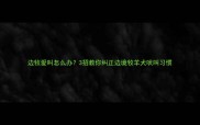 边牧爱叫怎么办3招教你纠正边境牧羊犬吠叫习惯