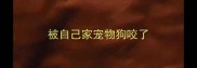 被自己家宠物狗咬了