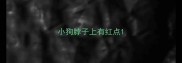 小狗脖子上有红点