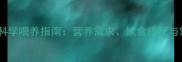 一岁哈士奇科学喂养指南营养需求饮食搭配与常见误区全