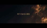 两个月金毛大便软