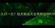 狗狗狂犬疫苗多久打一次幼犬到成犬全周期接种时间表及注意事项
