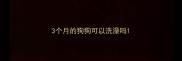 3个月的狗狗可以洗澡吗