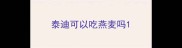 泰迪可以吃燕麦吗