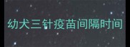 幼犬三针疫苗间隔时间