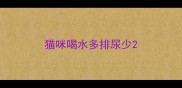 猫咪喝水多排尿少