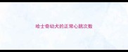 哈士奇幼犬的正常心跳次数