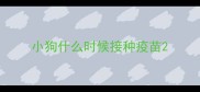 小狗什么时候接种疫苗