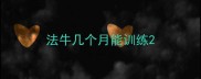 法牛几个月能训练