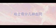 哈士奇分几种血同