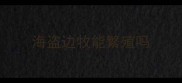 海盗边牧能繁殖吗