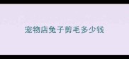 宠物店兔子剪毛多少钱