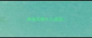 泰迪拉稀什么原因