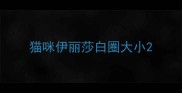猫咪伊丽莎白圈大小