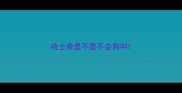 哈士奇是不是不会狗叫