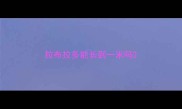 拉布拉多能长到一米吗