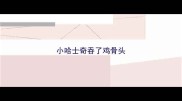 小哈士奇吞了鸡骨头