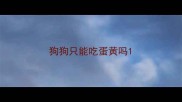 狗狗只能吃蛋黄吗