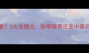 哈士奇能不能吃姜3大关键点驱寒暖胃还是中毒风险养宠必看