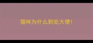 猫咪为什么到处大便