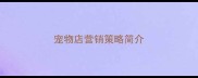 宠物店营销策略简介