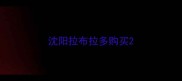 沈阳拉布拉多购买