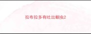 拉布拉多有吐出蛔虫