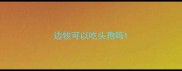 边牧可以吃头孢吗