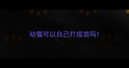 幼猫可以自己打疫苗吗