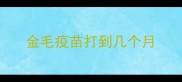 金毛疫苗打到几个月