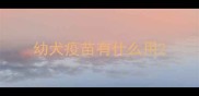 幼犬疫苗有什么用