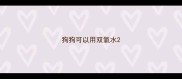 狗狗可以用双氧水