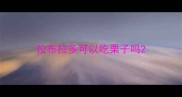 拉布拉多可以吃栗子吗