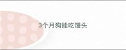 3个月狗能吃馒头